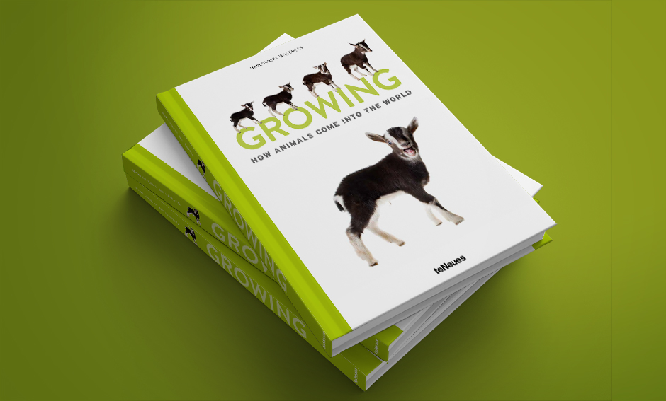 Das englische Buchcover: Growing - How animals come into the world